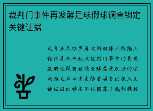 裁判门事件再发酵足球假球调查锁定关键证据