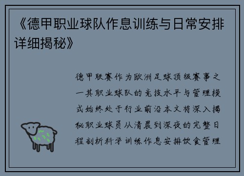 《德甲职业球队作息训练与日常安排详细揭秘》